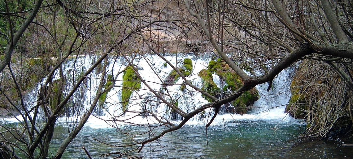 pitarque-1